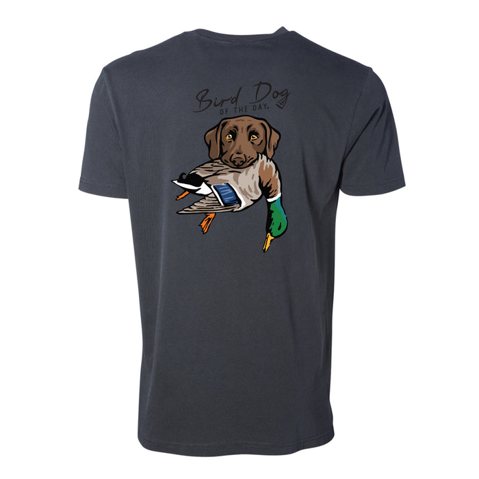 Chocolate Lab with a Mallard / Charcoal / XS