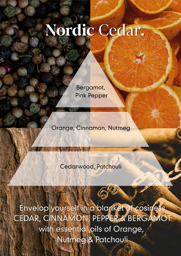 Nordic Cedar Scented Candle