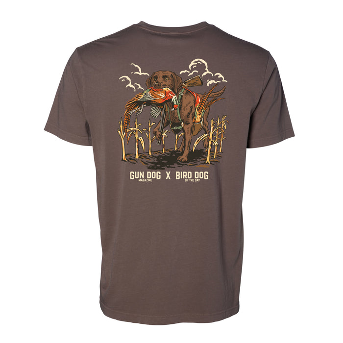 Chocolate Labrador Retriever / Mudflat / XS