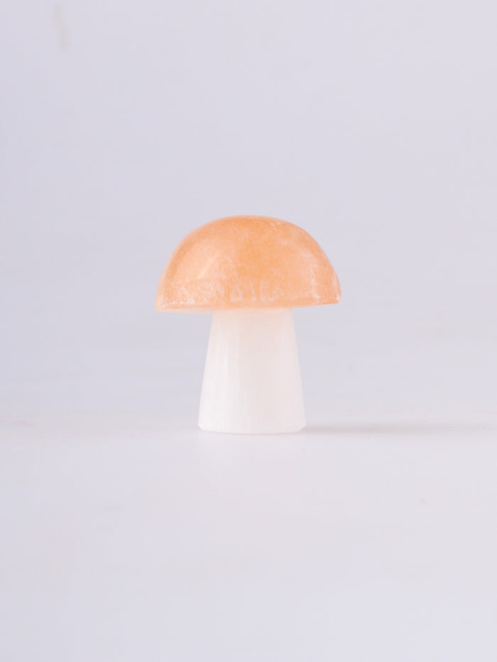 Selenite Mushroom | One Colour-Image 2