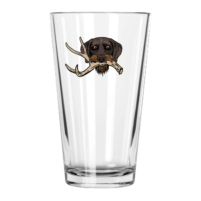Drahthaar with a Shed Antler