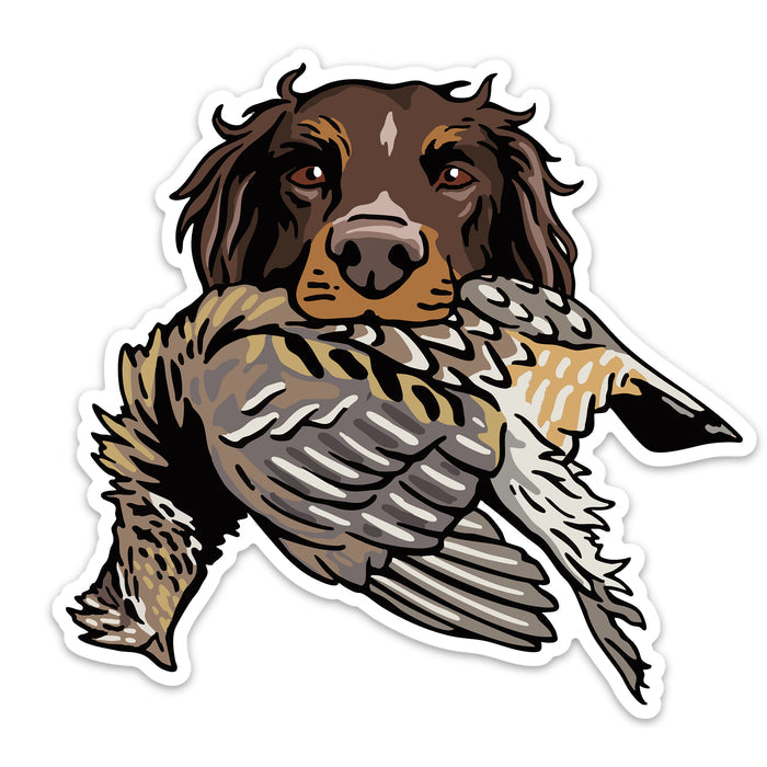 |Picardy with a Ruffed Grouse