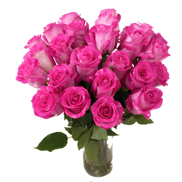 Wild One Pink Rose