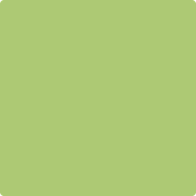 2029-40: Stem Green  a paint color by Benjamin Moore avaiable at Clement's Paint in Austin, TX.