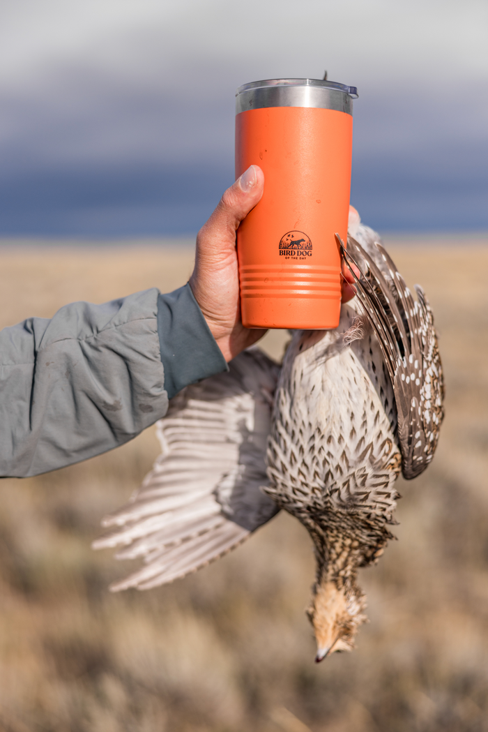 20oz Scaled Quail Tumbler