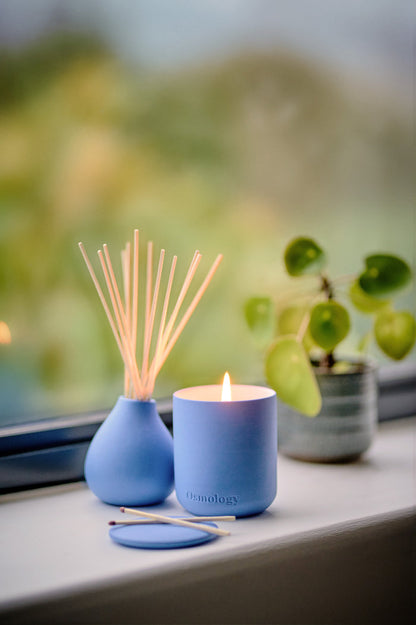 Amalfi Lemon Scented Candle