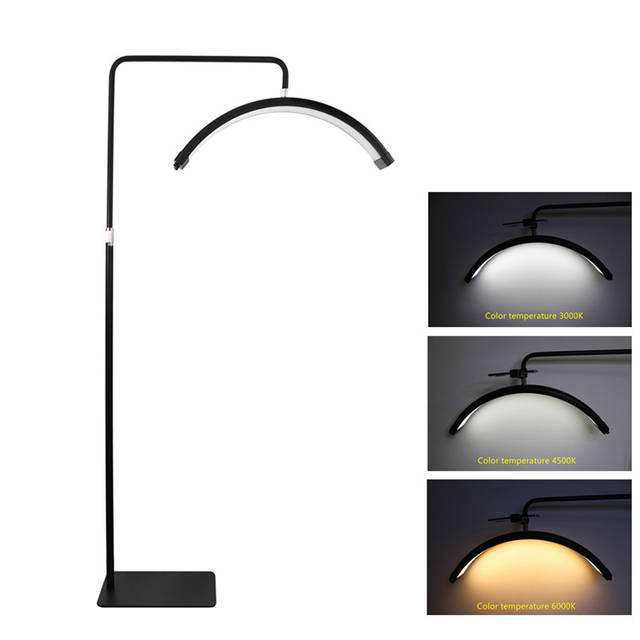 Arc LED Floor Lamp with Adjustable Head