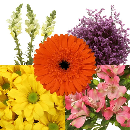 Assorted Fresh Cut Mothers Day DIY Flower Kit