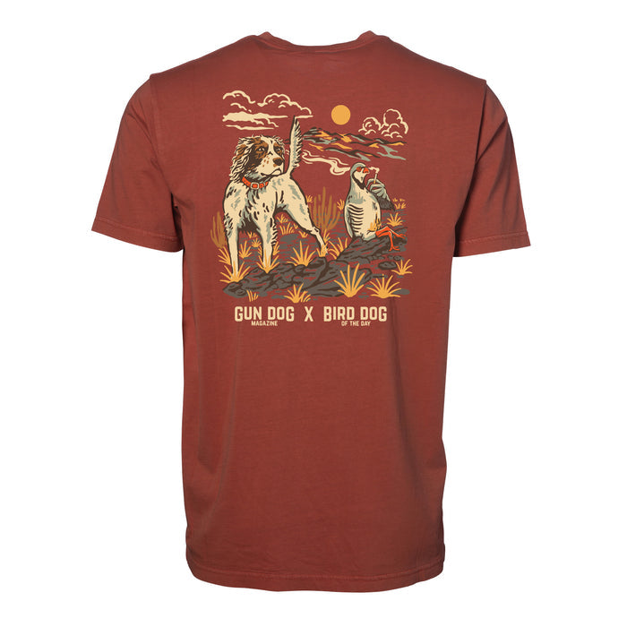 Red Clay / Orange & White Setter / XS