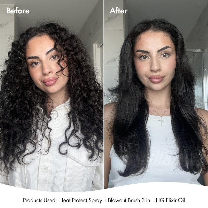 BLOWOUT BRUSH PAIR