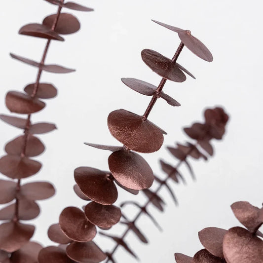 Bronzed Rose Gold Metallic Baby Eucalyptus Close Up - Image