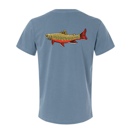 |Tailwater