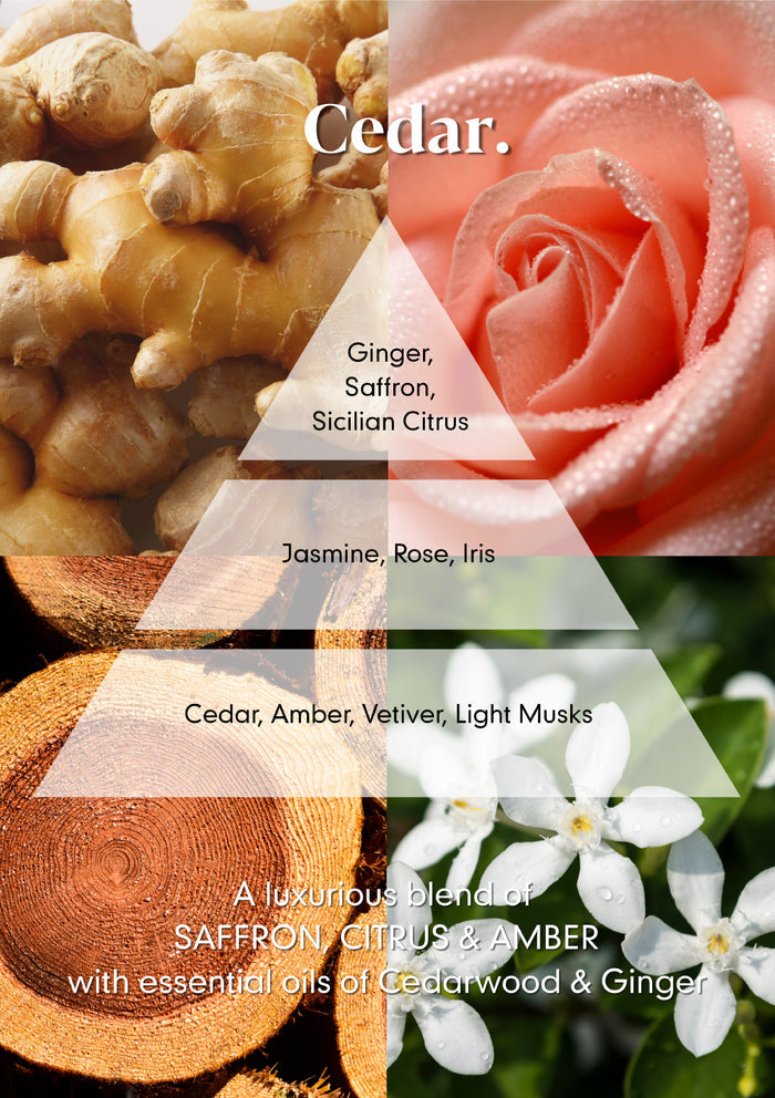 Cedar Reed Diffuser