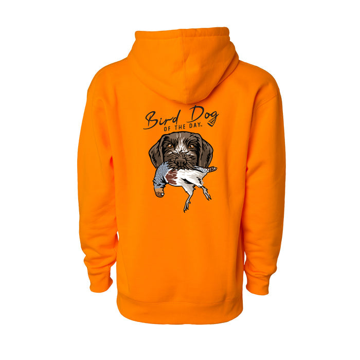 German Wirehaired Pointer with a Chukar / Blaze Orange / XS