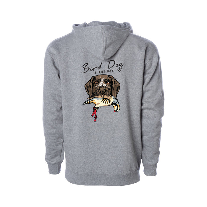 German Wirehaired Pointer with a Chukar / Heather Grey / XS