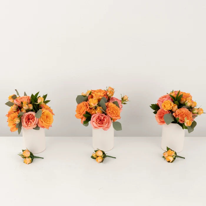Coral Gardens Prom Kit Other - Image