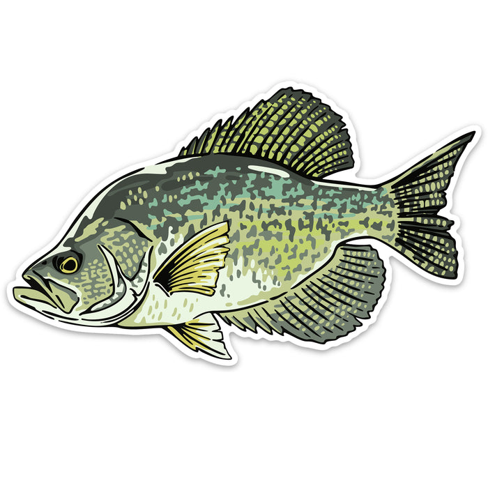 Crappie Decal Sticker