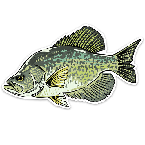 Crappie Decal Sticker
