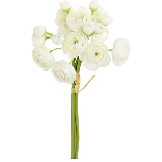 Bouquet of white flowers with green stems on a white background