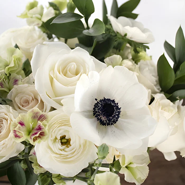 Dainty Pearl White Rose Flower in Hand