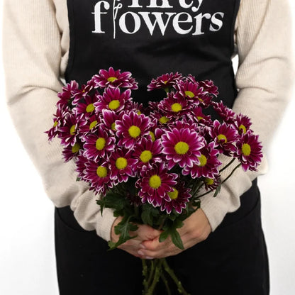 Fading Purpleberry Daisy Flower Apron - Image