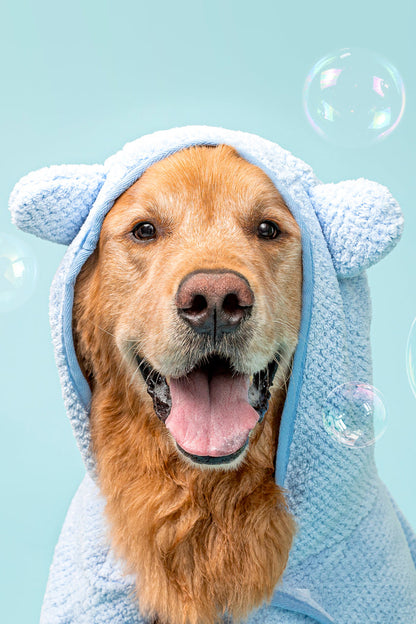 dog wearing towel ready for bath time and clean pet products