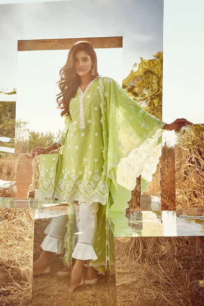 Gardencress Supima Cotton Lime Green Kurta Set