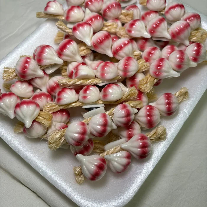 Garlic On Rope Kitchen Magnet