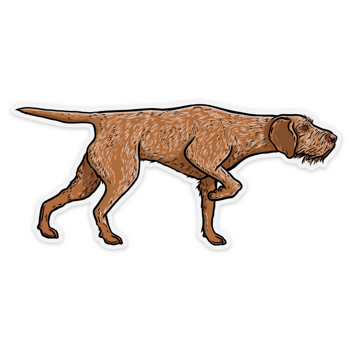 Hungarian Wirehaired Vizsla Decal Sticker