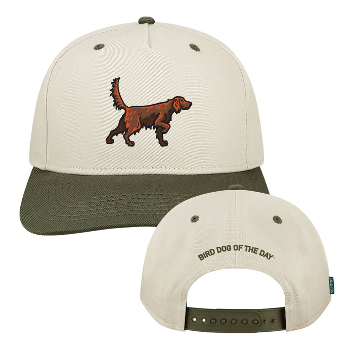 Irish Setter Hat