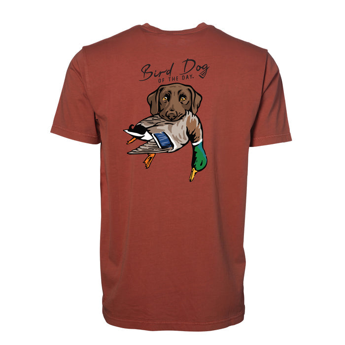 Chocolate Lab with a Mallard / Red Clay / XS
