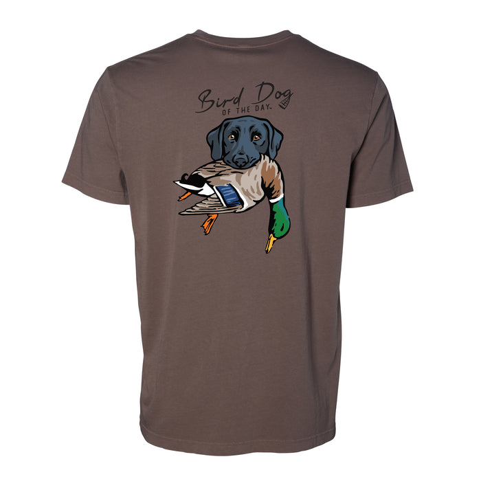 Black Lab with a Mallard / Mudflat / XS