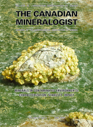 Minerals in Contaminated Environments: Characterization, Stability, Impact