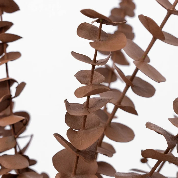 Mocha Mousse Tinted Baby Eucalyptus Close Up - Image