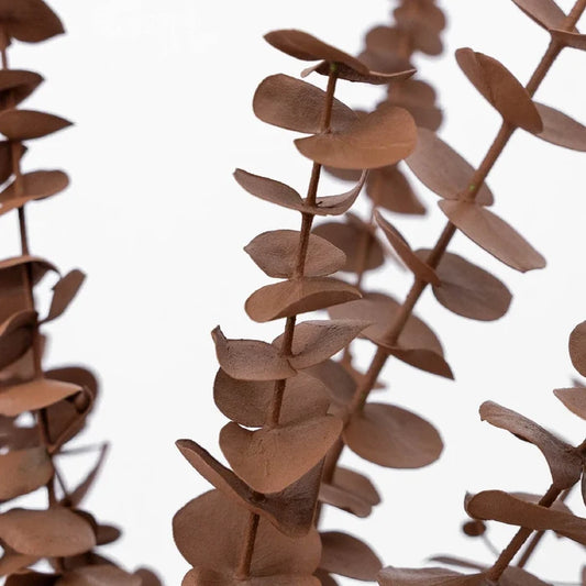 Mocha Mousse Tinted Baby Eucalyptus Close Up - Image