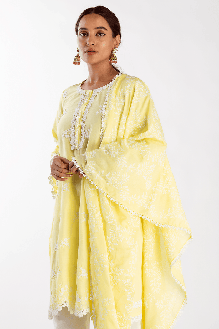 Mulmul Supima Cotton Stella Yellow Kurta