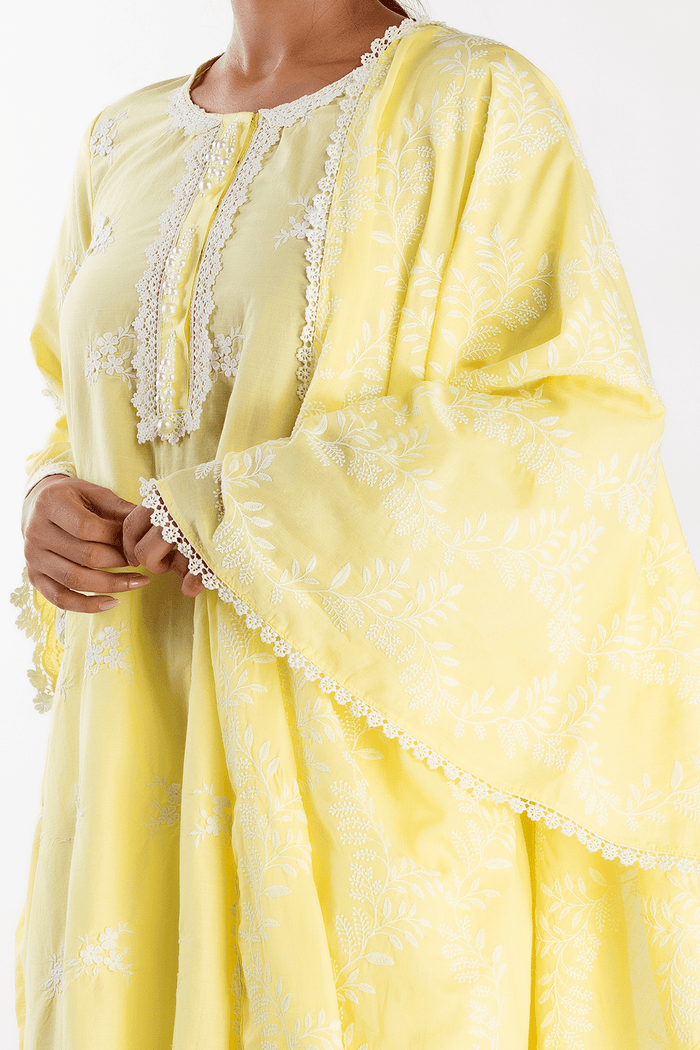 Mulmul Supima Cotton Stella Yellow Kurta