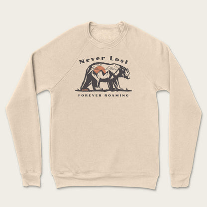 Never Lost Sweatshirt - Heather Dust