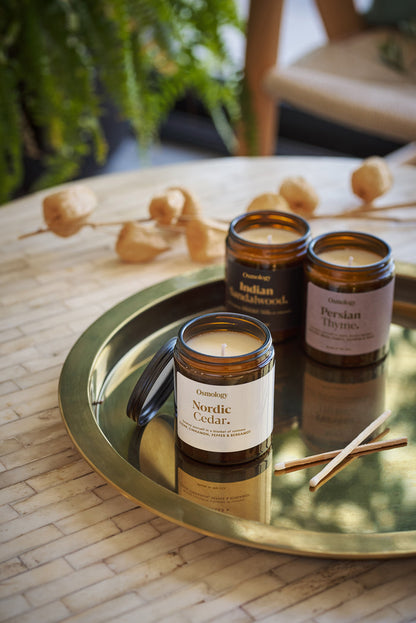 Nordic Cedar Scented Jar Candle