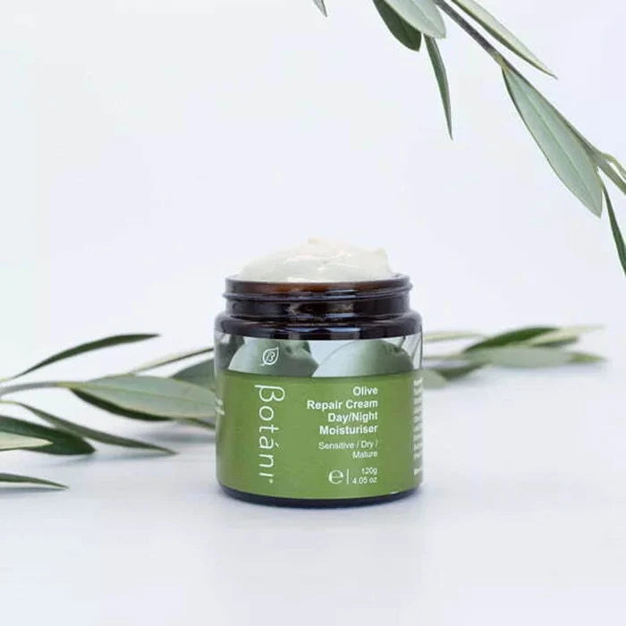 Jar of Botani Olive Repair Cream with olive leaves on a light background