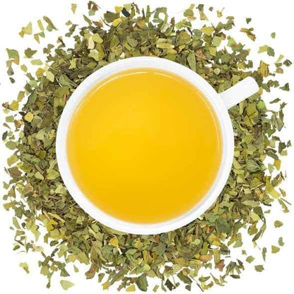 Organic Mint Mate - Yerba Mate - Full Leaf Tea Company