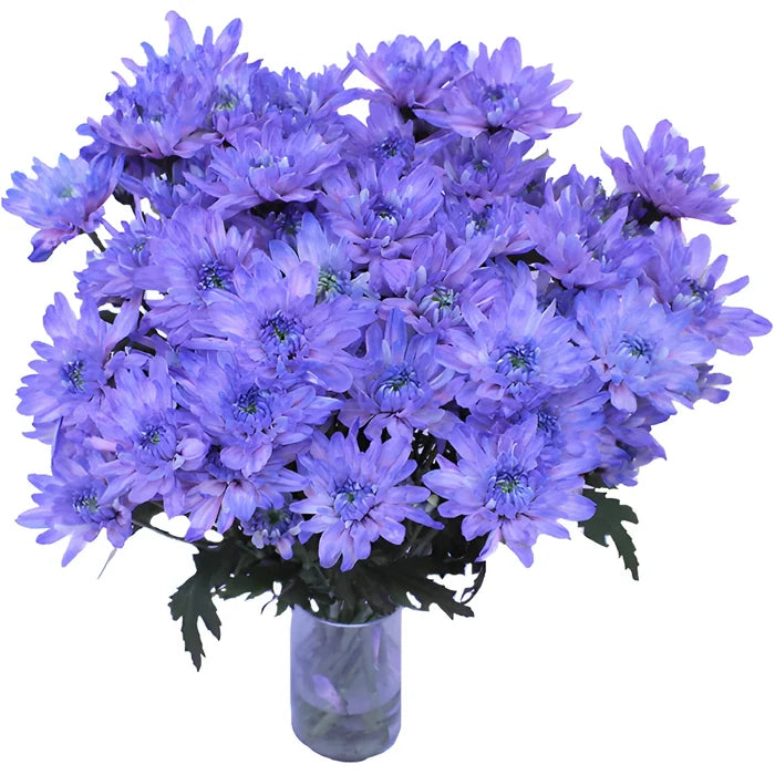 Pastel Purple Tinted Flower