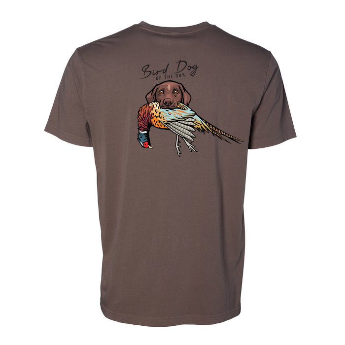 GSP with a Pheasant / Mudflat / XS