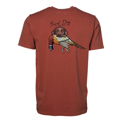 GSP with a Pheasant / Red Clay / XS