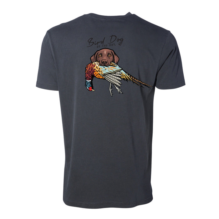 GSP with a Pheasant / Charcoal / XS