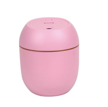 Portable Small Humidifier