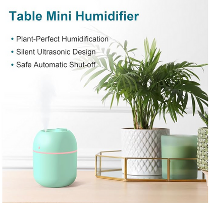 Portable Small Humidifier