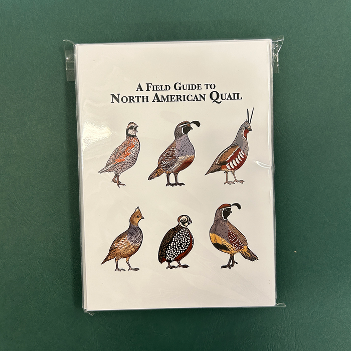 Quail Christmas Cards - Set of 12
