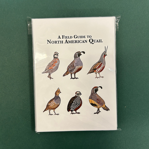 Quail Christmas Cards - Set of 12