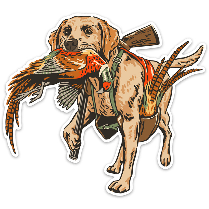 |Yellow Labrador Retriever
